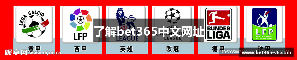 了解bet365中文网址